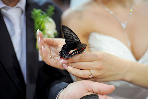 couple with a butterly